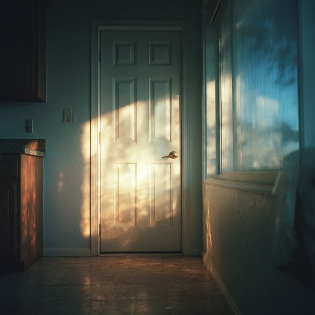 Шпонированные двери в Линии Дверей 